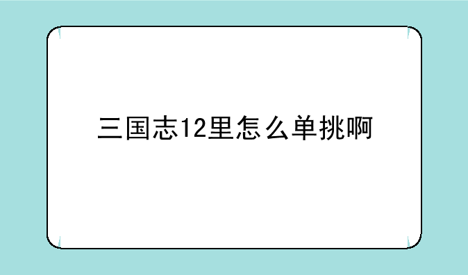 三国志12里怎么单挑啊