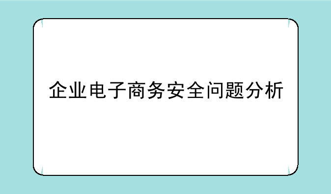 企业电子商务安全问题分析
