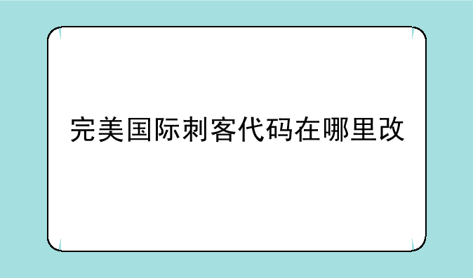 完美国际刺客代码在哪里改