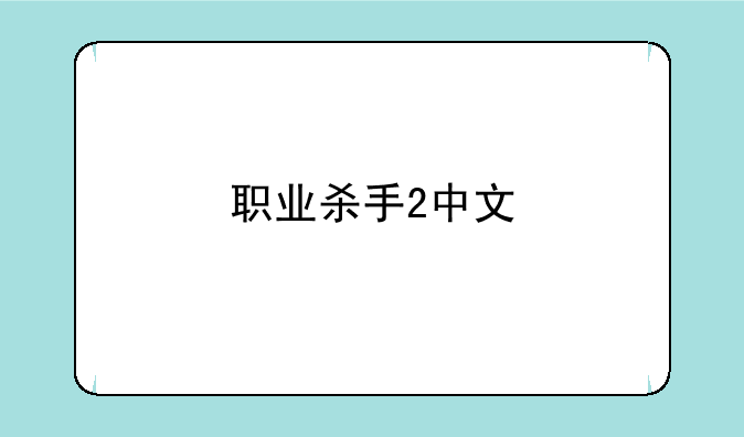 职业杀手2中文
