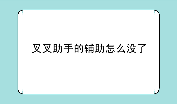 叉叉助手的辅助怎么没了